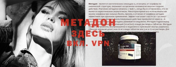 шишки Алзамай