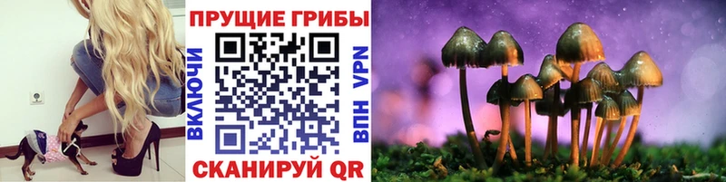 Псилоцибиновые грибы мухоморы  Тогучин 